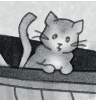 Louie on the Mayflower